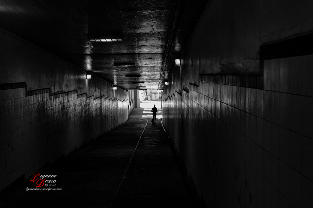 tunnel vision 1