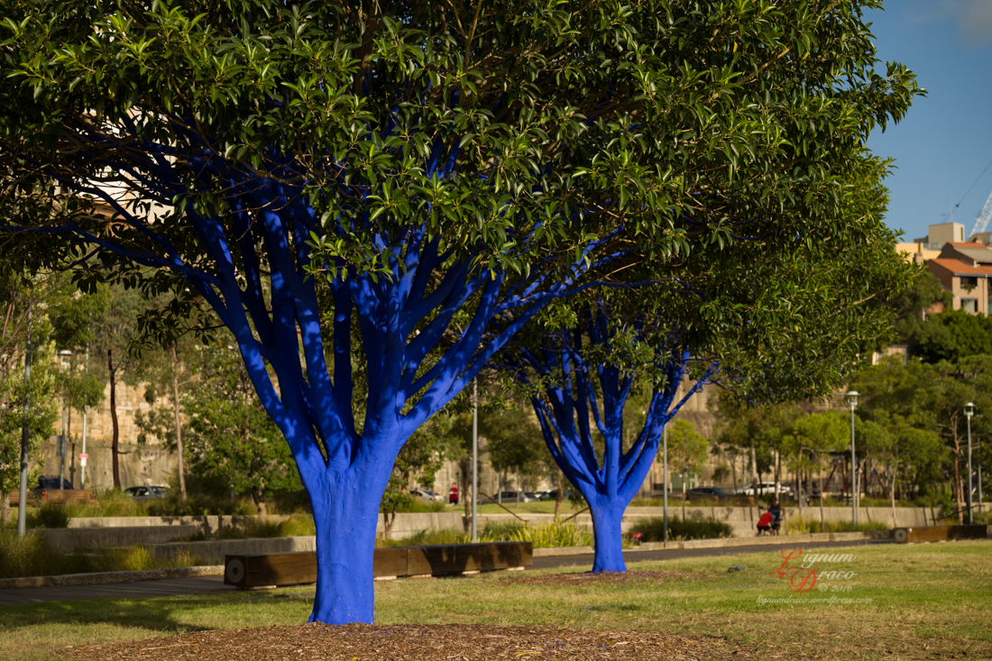 The blue trees 2
